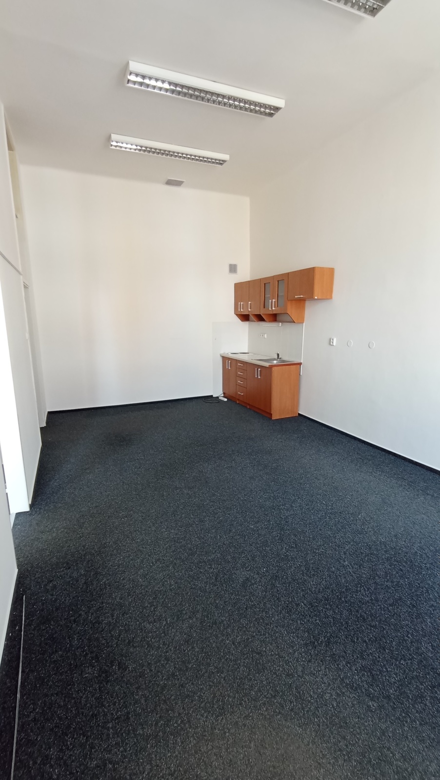 Pronájem - nebytové prostory - Riegrovo náměstí